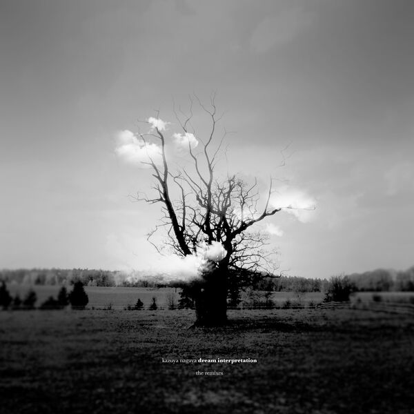 Kazuya Nagaya|Dream Interpretation (The Remixes) Kazuya Nagaya|Dream Interpretation (The Remixes)