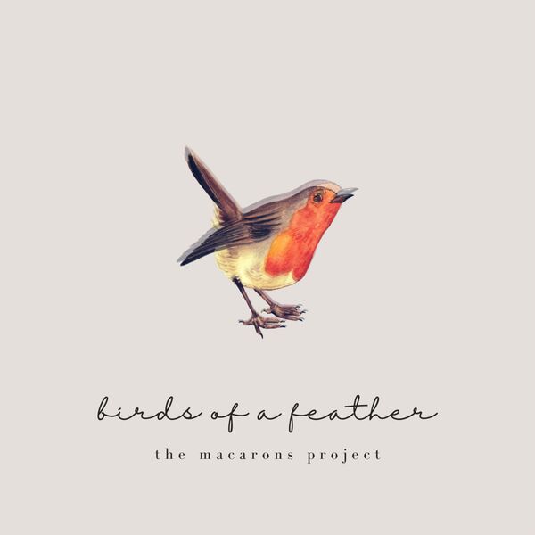 The Macarons Project|birds of a feather (acoustic) The Macarons Project|birds of a feather (acoustic)
