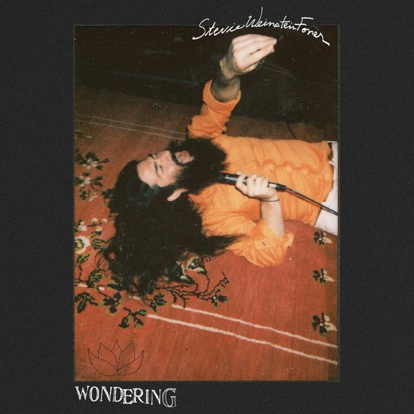 Stevie Weinstein-Foner|Wondering Stevie Weinstein-Foner|Wondering