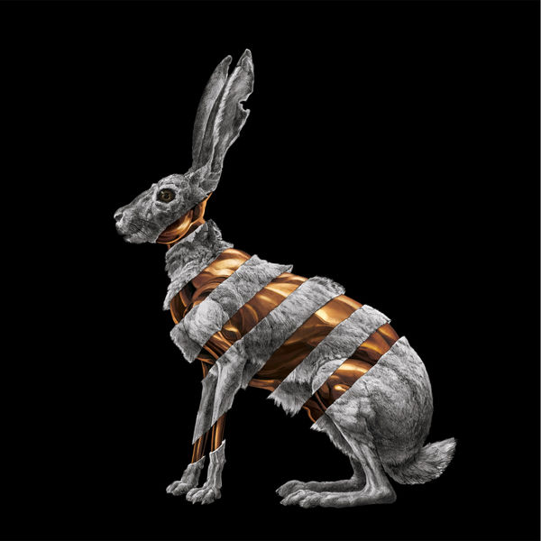 San Fermin|Jackrabbit San Fermin|Jackrabbit