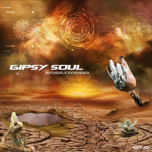 Gipsy Soul - Psychedelic Experience Gipsy Soul - Psychedelic Experience
