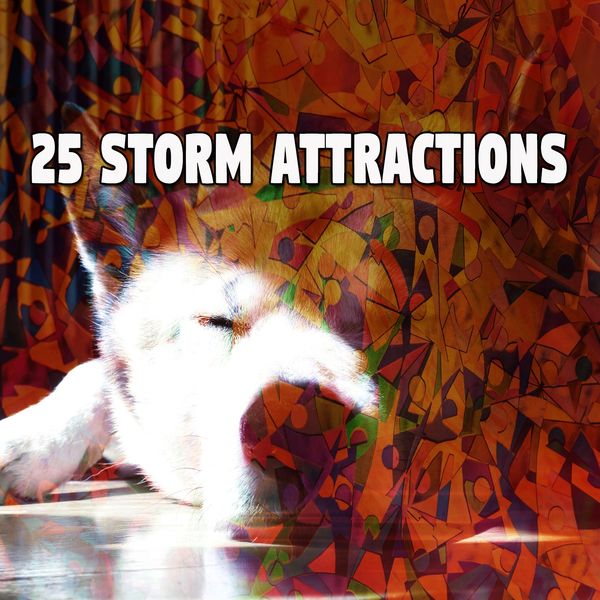 Rain for Deep Sleep - 25 Storm Attractions Rain for Deep Sleep - 25 Storm Attractions