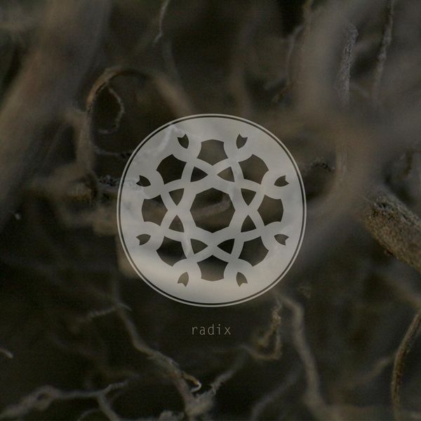 Origo - Radix Origo - Radix