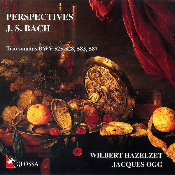 Wilbert Hazelzet|Perspectives