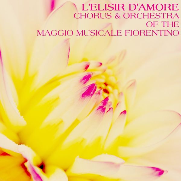 Chorus of the Maggio Musicale Fiorentino - L'Elisir D'Amore Chorus of the Maggio Musicale Fiorentino - L'Elisir D'Amore