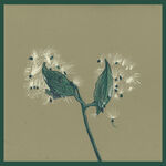Dirty Projectors Song of the Earth