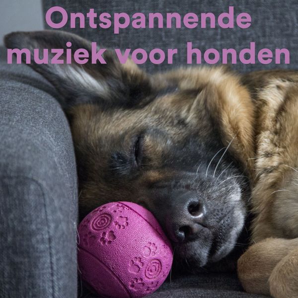 Various Artists - Ontspannende Muziek Voor Honden Various Artists - Ontspannende Muziek Voor Honden