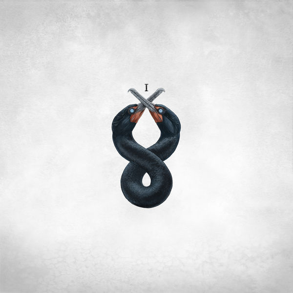 San Fermin - The Cormorant I San Fermin - The Cormorant I