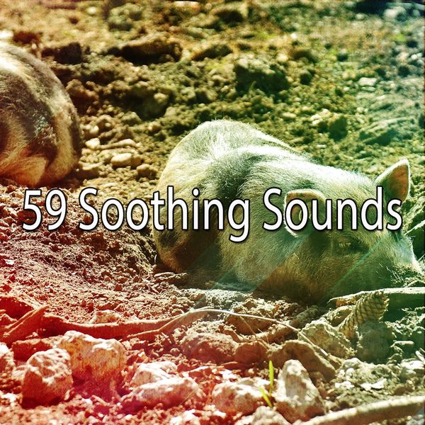 Deep Sleep Relaxation|59 Soothing Sounds