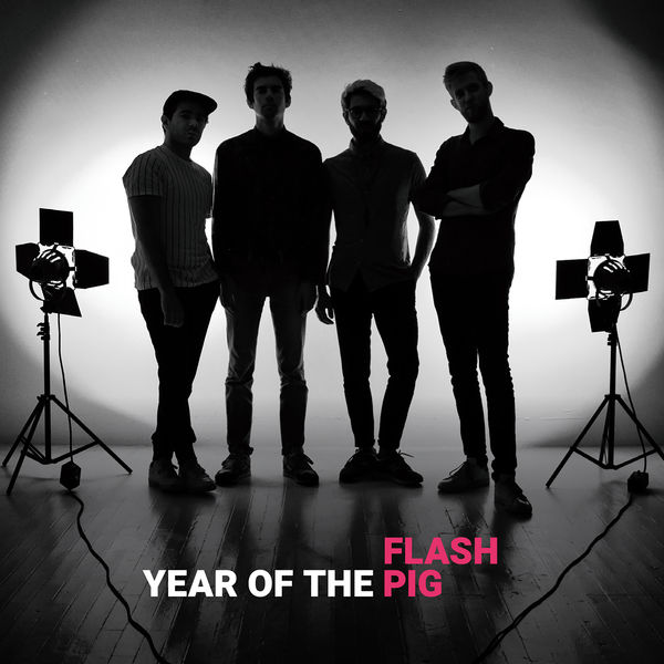 Flash Pig|Year of the Pig