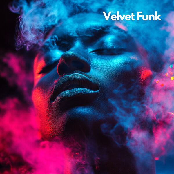 Velvet Funk|Feel the Way Velvet Funk|Feel the Way