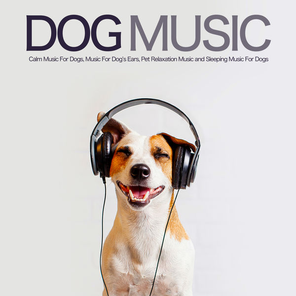 Dog Music|Dog Music: Calm Music For Dogs, Music For Dog’s Ears, Pet Relaxation Music and Sleeping Music For Dogs