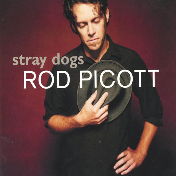 Rod Picott|Stray Dogs