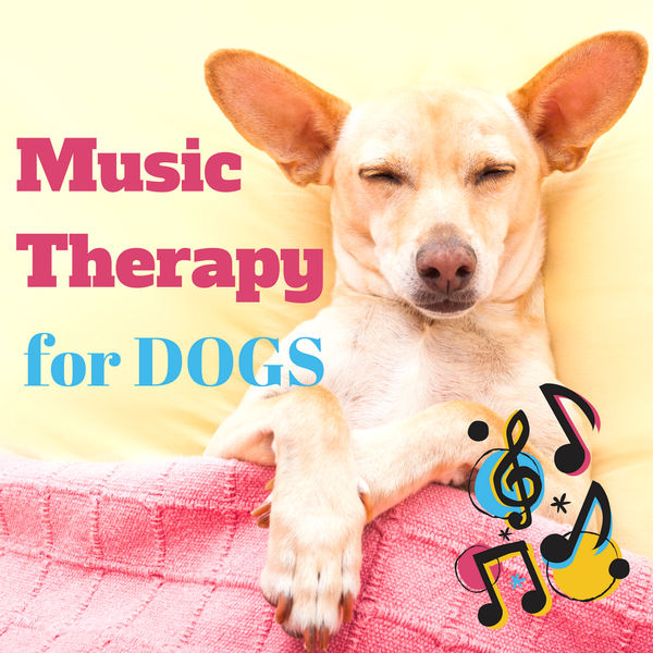 Music Therapy for Dogs – Relaxing Instrumental Music with Nature Sounds for Deep Sleep, Stress ...