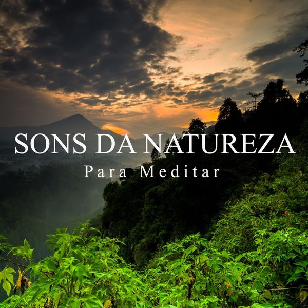 Meditação Música Ambiente - Sons da Natureza para Meditar Meditação Música Ambiente - Sons da Natureza para Meditar