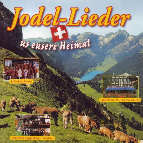 Various Artists|40 Jodel-Lieder us eusere Heimat