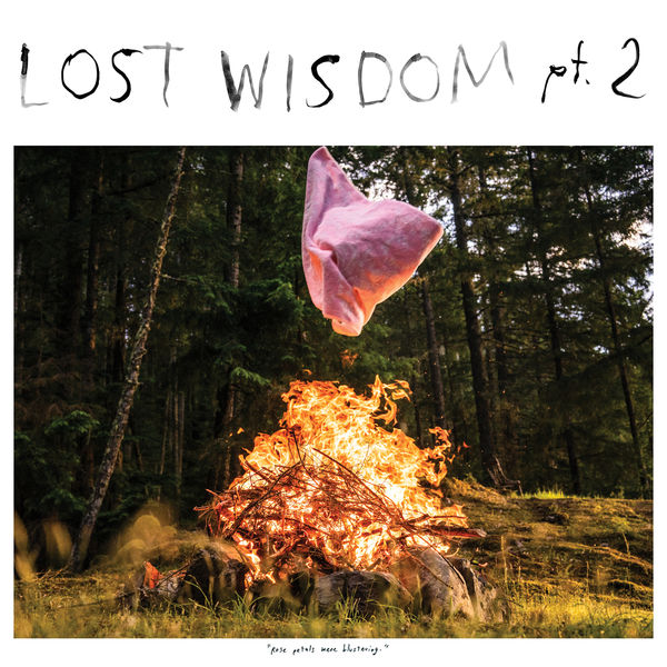 Mount Eerie - Lost Wisdom, Pt. 2 Mount Eerie - Lost Wisdom, Pt. 2