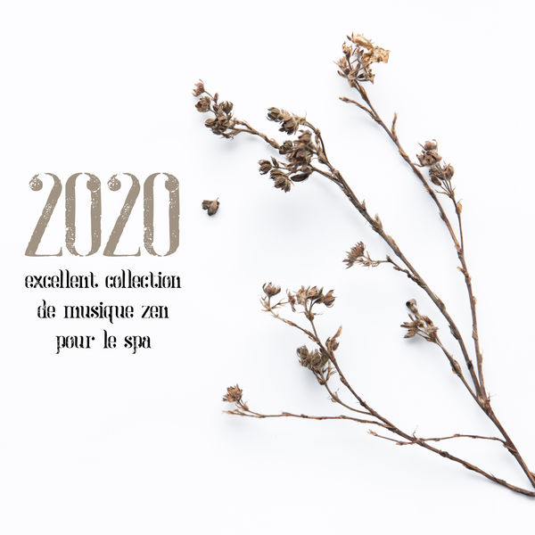 Oasis de Musique Zen Spa|2020 Excellent collection de musique zen pour le spa