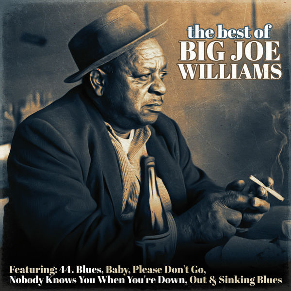 Big Joe Williams - The Best of Big Joe Williams Big Joe Williams - The Best of Big Joe Williams