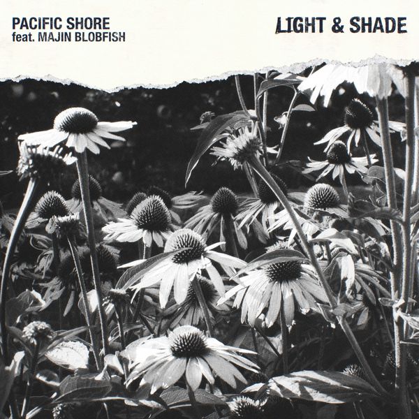 Pacific Shore - Light & Shade Pacific Shore - Light & Shade