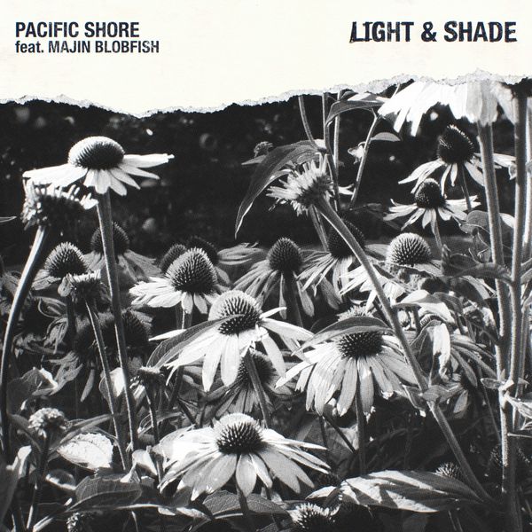 Pacific Shore|Light & Shade