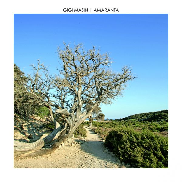 Gigi Masin - Amaranta Gigi Masin - Amaranta
