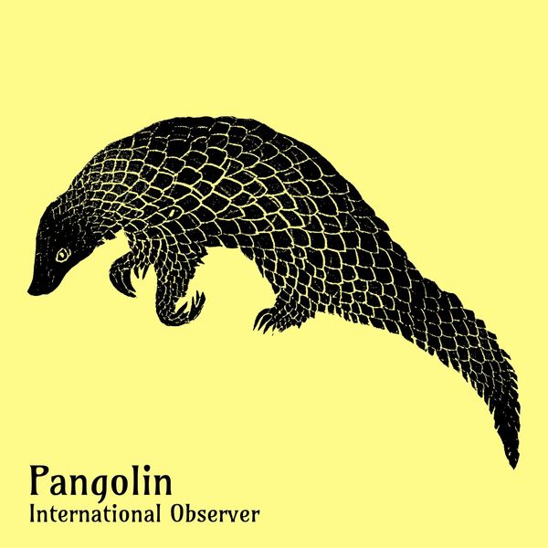 International Observer - Pangolin International Observer - Pangolin
