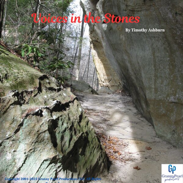 Voices in the Stones, Timothy Ashburn Qobuz