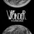 We Wonder Vulnerable