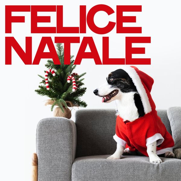Various Artists - Felice natale Various Artists - Felice natale
