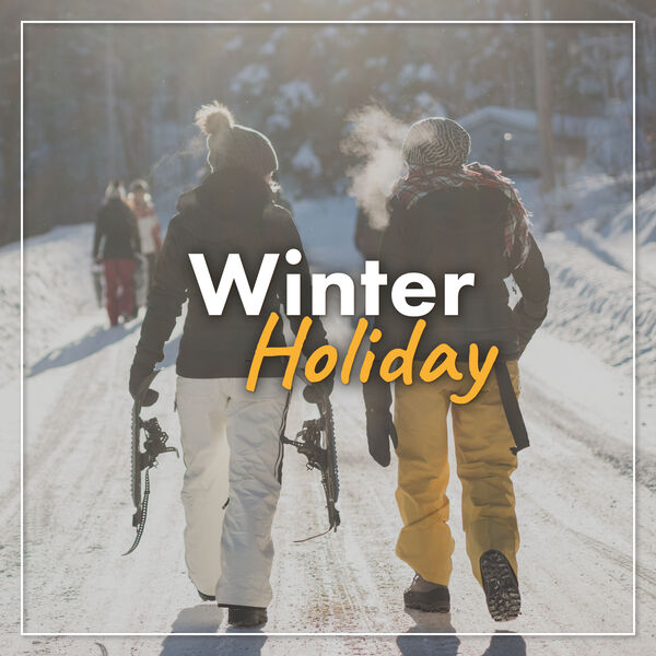 Various Artists - Winter Holiday Various Artists - Winter Holiday