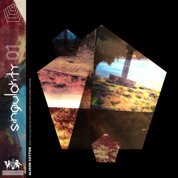Alison Cotton|What You Told Me on That Journey in the Horse & Carriage Alison Cotton|What You Told Me on That Journey in the Horse & Carriage