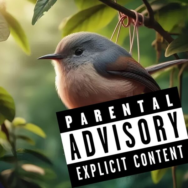 W Bird