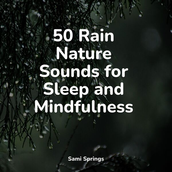50 Rain Nature Sounds for Sleep and Mindfulness, Rain Sound Studio - Qobuz