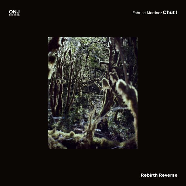 Fabrice Martinez Chut ! - Rebirth Reverse Fabrice Martinez Chut ! - Rebirth Reverse