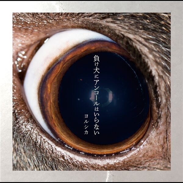 負け犬にアンコールはいらない, ヨルシカ - Qobuz