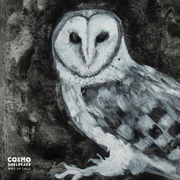 Cosmo Sheldrake - Wake Up Calls Cosmo Sheldrake - Wake Up Calls
