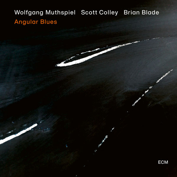 Wolfgang Muthspiel - Angular Blues Wolfgang Muthspiel - Angular Blues