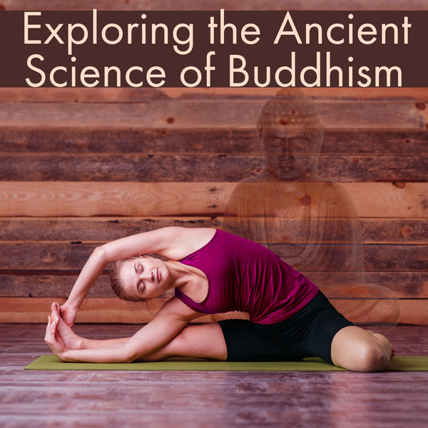 Buddha Lounge|Exploring the Ancient Science of Buddhism - Perfect Yogi, Best Medicine, Yoga brings Relief, Meditation Helps to Overcome Stress, Focus on Harmony in Life, Great Balance Body and Mind