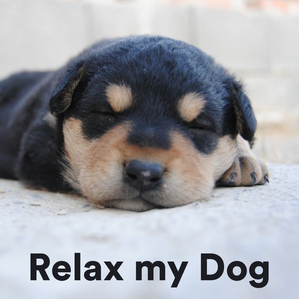 Various Artists - Relax My Dog Various Artists - Relax My Dog