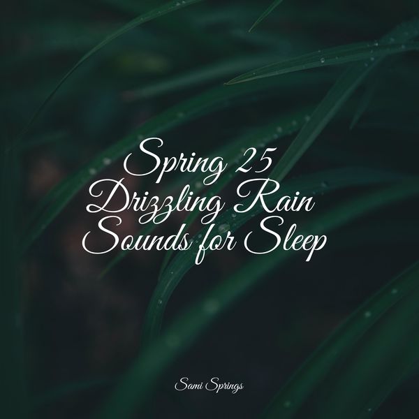 Sonidos De Lluvia y Tormentas|Spring 25 Drizzling Rain Sounds for Sleep