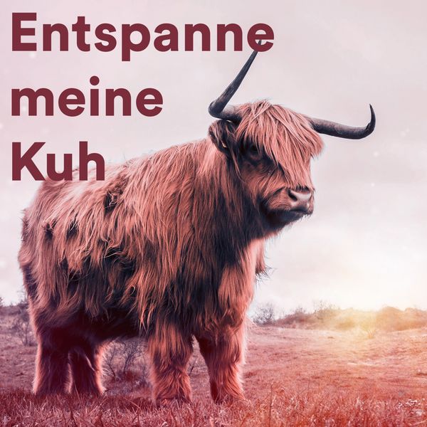 Various Artists - Entspanne Meine Kuh Various Artists - Entspanne Meine Kuh