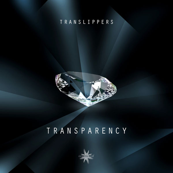 Translippers - Transparency Translippers - Transparency