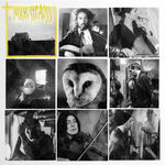 Mick Strauss Southern Wave Night Birds
