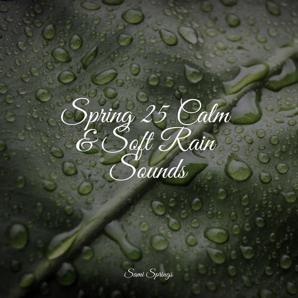 Spring 25 Calm & Soft Rain Sounds, ASMR Rain Sounds - Qobuz
