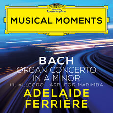 J.S. Bach: Concerto in A Minor, BWV 593 (After Vivaldi, RV 522): III. Allegro (Arr. Ferrière for Marimba)