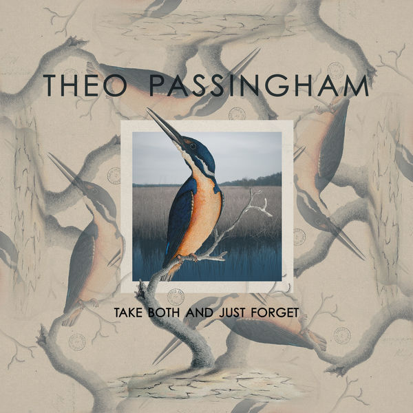Theo Passingham - Take Both and Just Forget Theo Passingham - Take Both and Just Forget