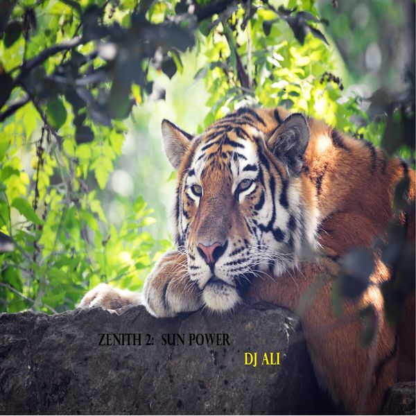 DJ Ali - Zenith 2: Sun Power DJ Ali - Zenith 2: Sun Power
