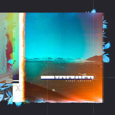 未使用品 レコード 2LP　TK from 凛として時雨　brain films n0rkgnapsmgqc_230.jpg