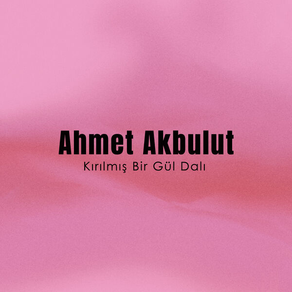 Ahmet Akbulut|Kırılmış Bir Gül Dalı Ahmet Akbulut|Kırılmış Bir Gül Dalı